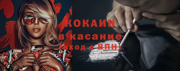 индика Абаза