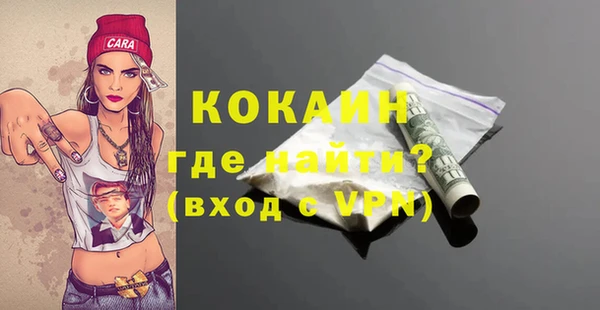 индика Абаза