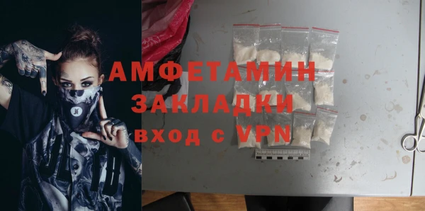 индика Абаза