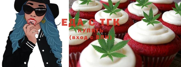 индика Абаза