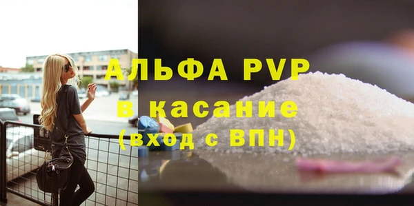 индика Абаза