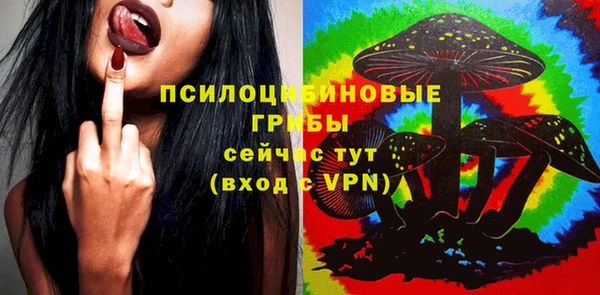 индика Абаза