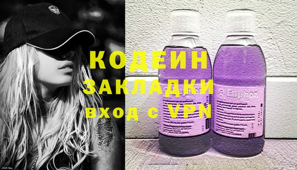 индика Абаза