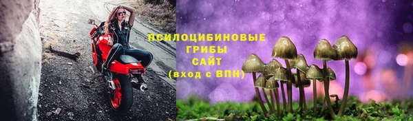 индика Абаза