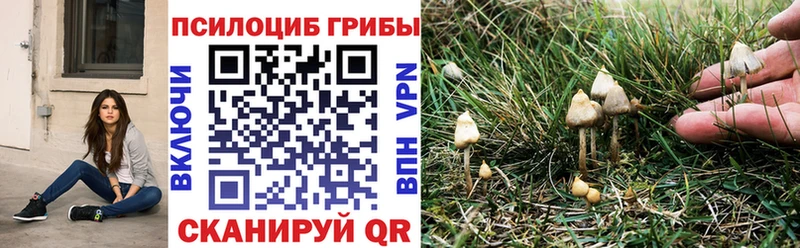 Псилоцибиновые грибы прущие грибы  blacksprut ССЫЛКА  Нефтеюганск 