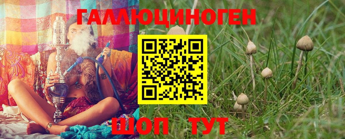 Галлюциногенные грибы прущие грибы Нефтеюганск
