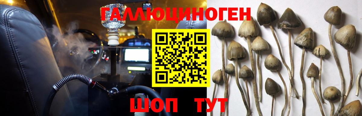 Нефтеюганск  закладка  Вход с VPN  Псилоцибиновые грибы Psilocybe 